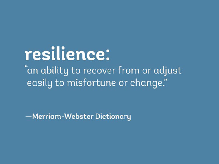 Supply Chain Resilience - definition